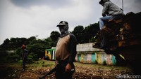Biasanya ikan yang didapat para pemancing tersebut beragam, mulai dari ikan Gabus, Mujair, Baung hingga Patin kali.