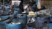 Para nelayan menyortir ikan hasil tangkapan di kawasan Muara Angke, Jakarta Utara.