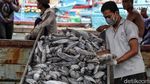 Semangat Nelayan di Tengah Pandemi COVID-19