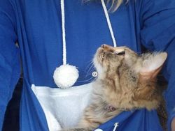 Kumpulan Foto Tatapan Hewan ke Pemiliknya Bikin Meleleh