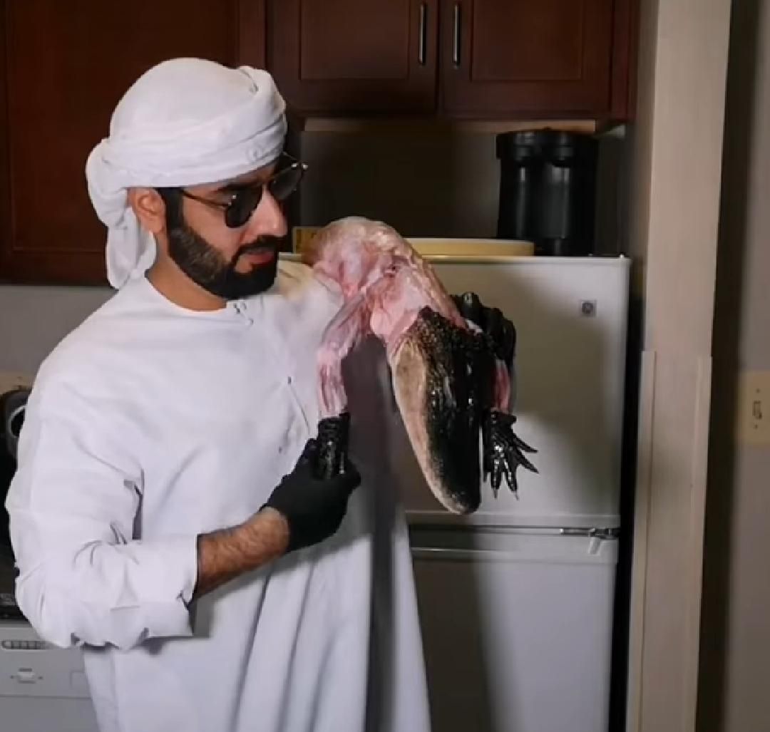 chef masak buaya