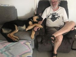 Kumpulan Foto Tatapan Hewan ke Pemiliknya Bikin Meleleh