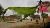 India tak hanya menghadapi pandemi COVID-19 yang tengah melanda berbagai wilayah di negaranya. India juga tengah menghadapi gelombang panas dan serangan hama belalang yang diketahui sebagai terburuk yang dialami negara itu dalam kurun waktu hampir 30 tahun terakhir. AP Photo/Rajesh Kumar Singh.