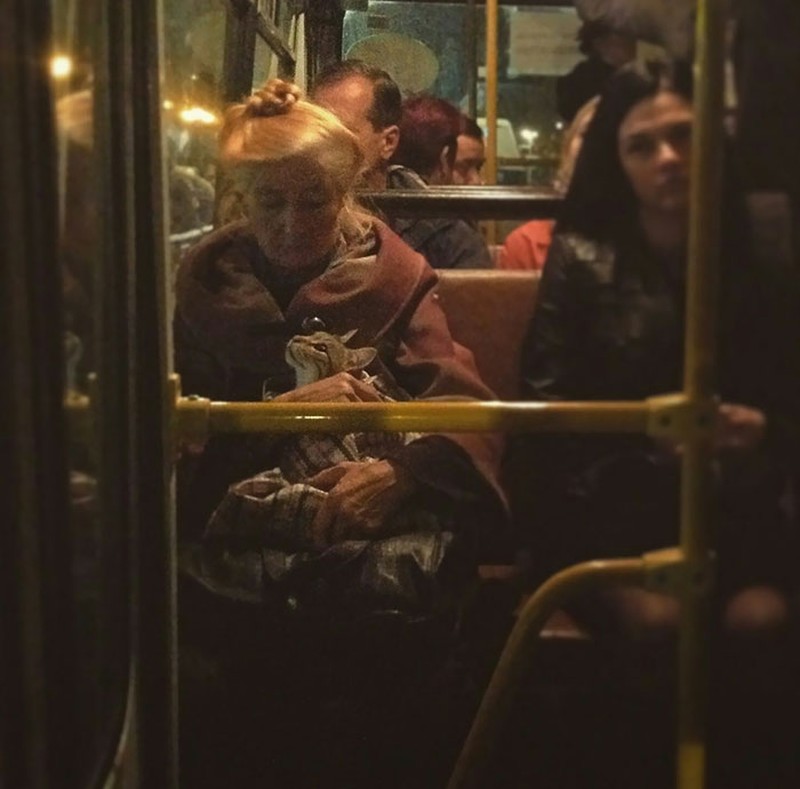 Kumpulan Foto Tatapan Hewan ke Pemiliknya Bikin Meleleh