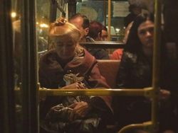 Kumpulan Foto Tatapan Hewan ke Pemiliknya Bikin Meleleh