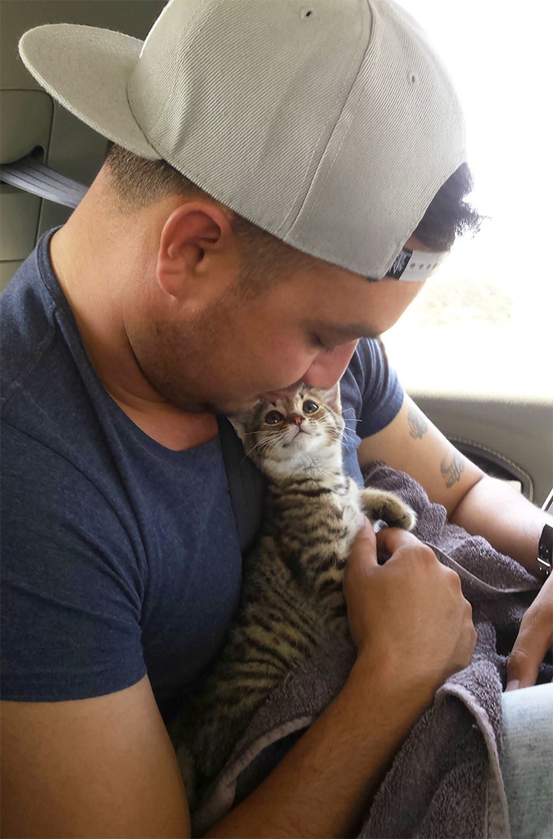 Kumpulan Foto Tatapan Hewan ke Pemiliknya Bikin Meleleh