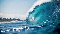 Hawaii akan membuat daftar negara yang mengalami penurunan kasus Corona. Turis dari Jepang, Selandia Baru dan Australia akan diizinkan masuk terlebih dahulu. Istimewa/Dok.bosshunting.com.au.