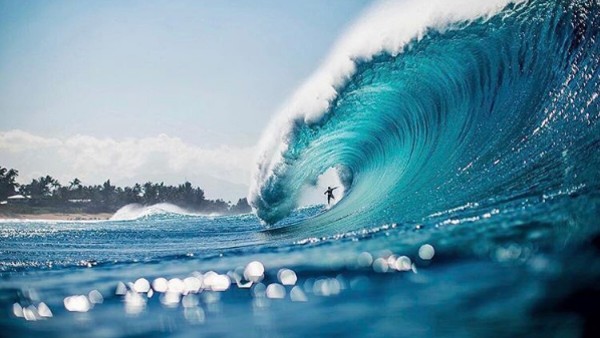 Hawaii akan membuat daftar negara yang mengalami penurunan kasus Corona. Turis dari Jepang, Selandia Baru dan Australia akan diizinkan masuk terlebih dahulu. Istimewa/Dok.bosshunting.com.au. Hawaii akan membuat daftar negara yang mengalami penurunan kasus Corona. Turis dari Jepang, Selandia Baru dan Australia akan diizinkan masuk terlebih dahulu. Istimewa/Dok.bosshunting.com.au.