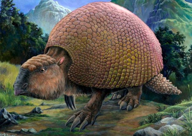 megafauna