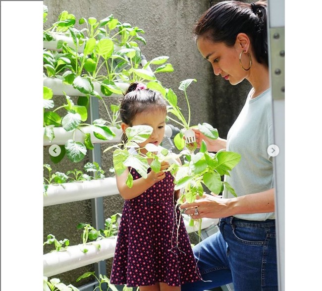 Atiqah Hasiholan dan Narji, Artis yang Hobi Berkebun Selama Pandemi COVID-19