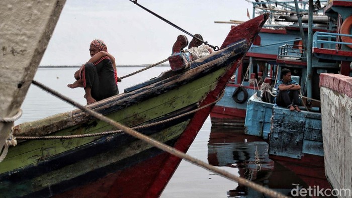 Nelayan di pantai utara Jakarta masih melaut di tengah pandemi COVID-19. Namun penjualan ikan hasil tangkapan menurun akibat pandemi tersebut.