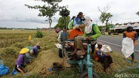 Belasan buruh tani itu diketahui berasal dari Kabupaten Sragen, Jawa Tengah.