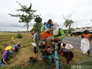 Nilai Tukar Petani & Nelayan Masuk Indikator Pembangunan 2021