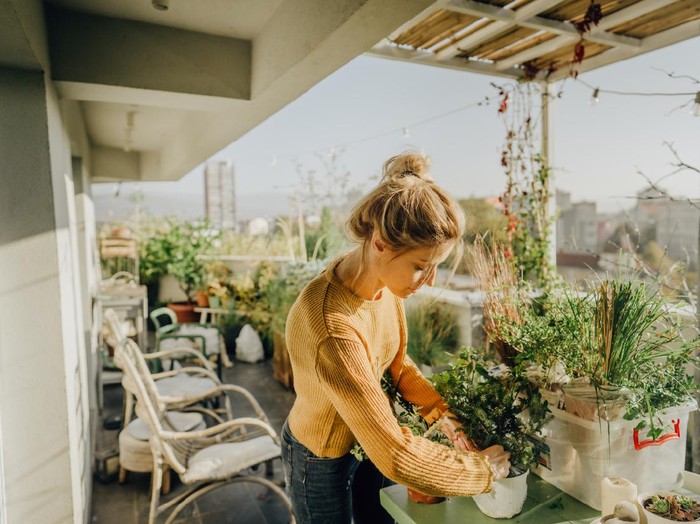 Ilustrasi berkebun di rumah