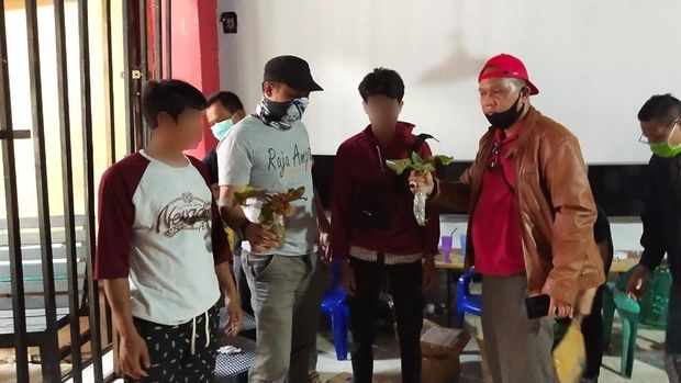 Dua Penjual Kantong Semar Langka Ditangkap