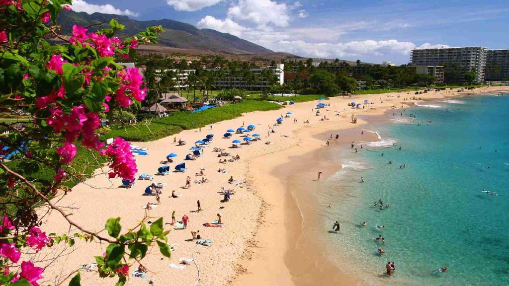 Kebijakan Hawaii Ganti Lagi, Turis Nggak Perlu Suntik Booster