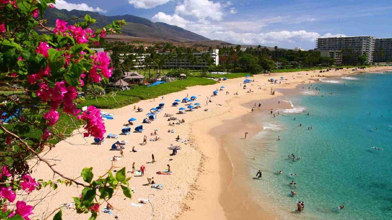 Setelah diterpa kerugian besar akibat pandemi Corona, negara yang terkenal dengan keindahan pantainya ini kembali akan buka untuk turis Juli mendatang.