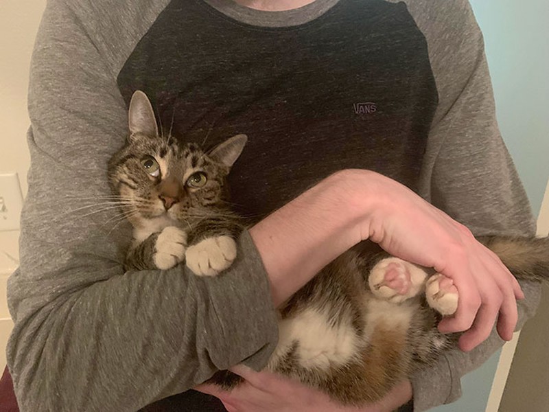 Kumpulan Foto Tatapan Hewan ke Pemiliknya Bikin Meleleh