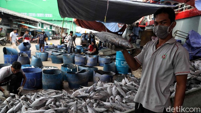 Nelayan Mencoba Bertahan di Tengah Pandemi COVID-19 Nelayan di pantai utara Jakarta masih melaut di tengah pandemi COVID-19. Namun penjualan ikan hasil tangkapan menurun akibat pandemi tersebut.
