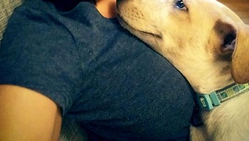 Kami membawa Charlie ke rumah sebulan lalu, dan aku tidak bisa melupakan padnangan cinta tulus di matanya. (Foto: Boredpanda)