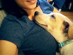 Kumpulan Foto Tatapan Hewan ke Pemiliknya Bikin Meleleh