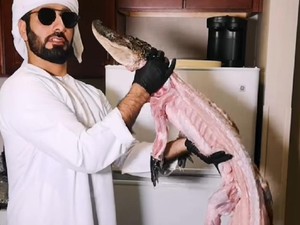Chef Arab Ini Masak Buaya Panggang, Berani Cicip?