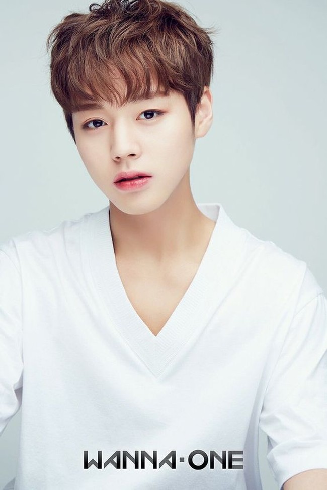 Setelah kontrak Wanna One selesai, kini Park Jihoon eksis sebagai penyanyi solo yang sudah menelurkan tiga album, yakni OCLOCK, 360, dan The W. Baru-baru ini pun anak kedua dari dua bersaudara itu tengah mempromosikan album terbaru dengan lagu andalan Wing. Foto: Twitter