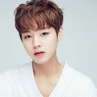 Setelah kontrak Wanna One selesai, kini Park Jihoon eksis sebagai penyanyi solo yang sudah menelurkan tiga album, yakni OCLOCK, 360, dan The W. Baru-baru ini pun anak kedua dari dua bersaudara itu tengah mempromosikan album terbaru dengan lagu andalan Wing. Foto: Twitter