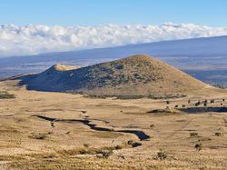 15 Fakta Random di Dunia yang Mind Blowing