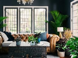 Biar Zoom Tambah Seru, Ini Kumpulan Ide Background Lucu