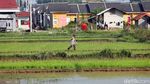 Geliat Petani Cikarang di Tengah Pandemi Corona