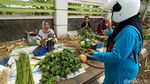 Jelang Lebaran Ketupat, Pedagang Janur di Kudus Mulai Menjamur