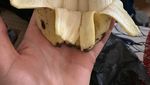 Seperti Menang Lotre, 10 Makanan Bentuk Unik Ini Ditemukan Tak Sengaja!