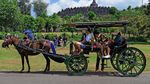 Potret Borobudur Sebelum dan Sesudah Terdampak Pandemi Corona