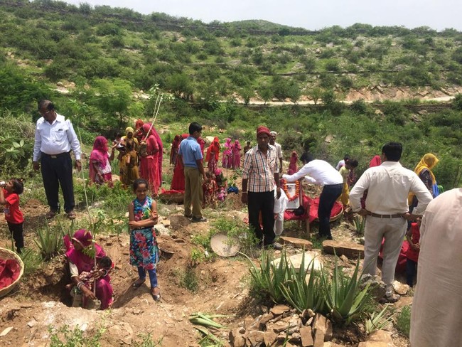 Belum lama ini mereka juga menanam pohon lidah buaya dan mengambil hasilnya untuk dibuat jus dan gel agar bisa dijual dan menghasilkan uang. Foto: Facebook/Piplantri Community