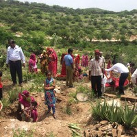 Belum lama ini mereka juga menanam pohon lidah buaya dan mengambil hasilnya untuk dibuat jus dan gel agar bisa dijual dan menghasilkan uang. Foto: Facebook/Piplantri Community