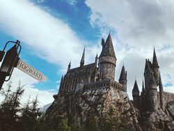 Biar Zoom Tambah Seru, Ini Kumpulan Ide Background Lucu