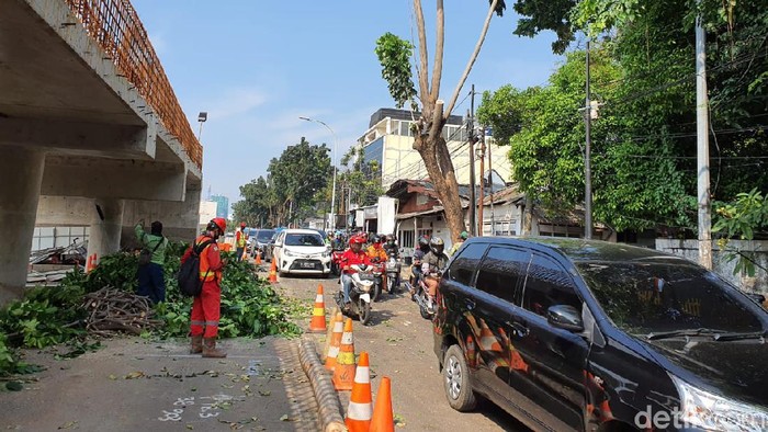 Suku Dinas Kehutanan Jaksel menebang pohon pagi hari dan menimbulkan kemacetan di Lentang Agung