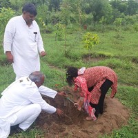 Maka setiap ada bayi perempuan lahir, warga desa Piplantri akan menanam 111 pohon. Dalam budaya India, angka 111 dipercaya bisa membawa kesuksesan dan keberuntungan. Foto: Facebook/Piplantri Community