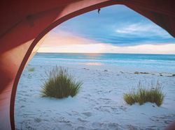 Biar Zoom Tambah Seru, Ini Kumpulan Ide Background Lucu