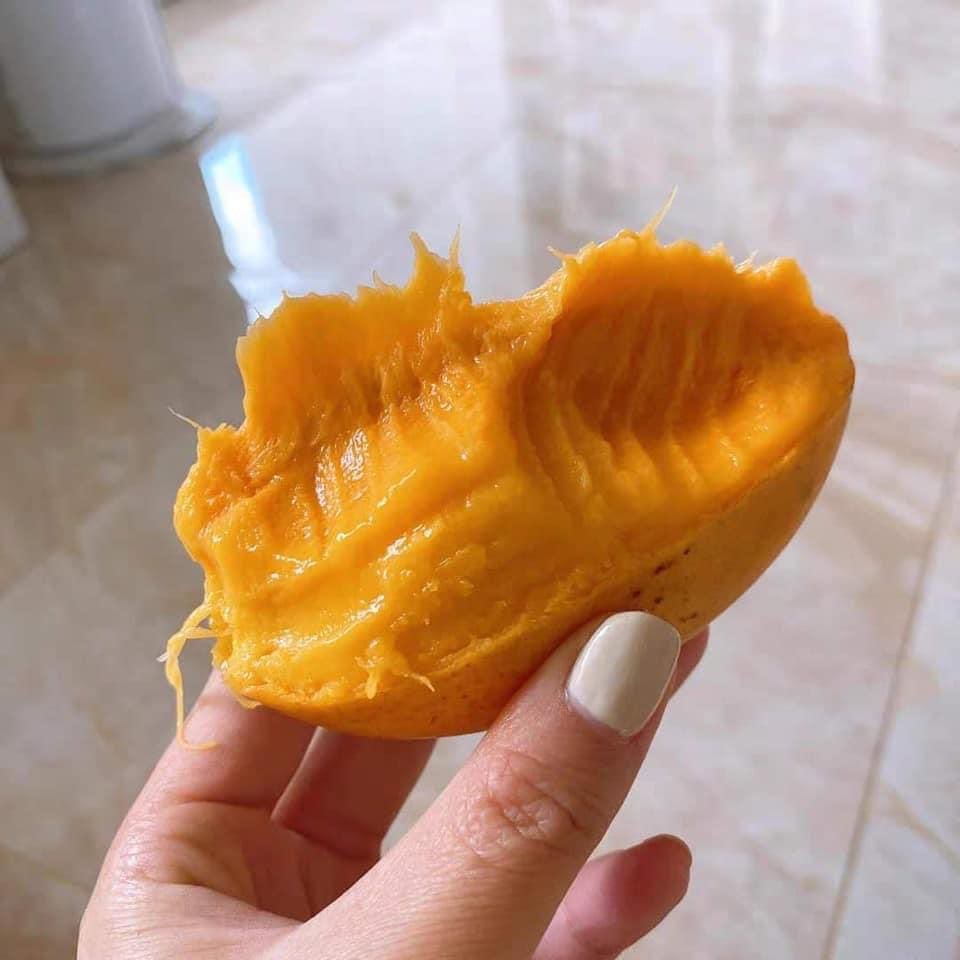 Tutorial bikin jepitan rambut dari buah mangga