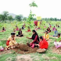 Shyam mengungkapkan bahwa setiap tahunnya sekitar 60 bayi perempuan lahir di Piplantri. Maka bisa diperkirakan tak kurang dari 6.660 pohon yang tumbuh per tahun. Foto: Facebook/Piplantri Community
