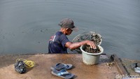 Dia rela kulitnya yang keriput terbakar terik matahari.