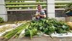 Jelang Lebaran Ketupat, Pedagang Janur di Kudus Mulai Menjamur