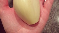 Satu siung bawang putih ini punya ukuran yang tak normal. Biasanya hanya berukuran panjang 5 cm, namun bawang putih ini punya ukuran hampir sebesar telapak tangan. Foto: Istimewa