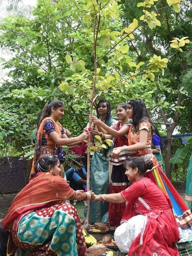 Piplantri merupakan sebuah desa di Rajasthan, India. Desa ini punya tradisi unik. Setiap ada seorang bayi perempuan lahir, warganya akan menanam pohon sebagai perayaan kelahiran. Foto: Facebook/Piplantri Community