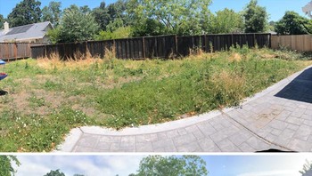 Halaman belakangnya jadi keren gini. Foto: Reddit via Bored Panda