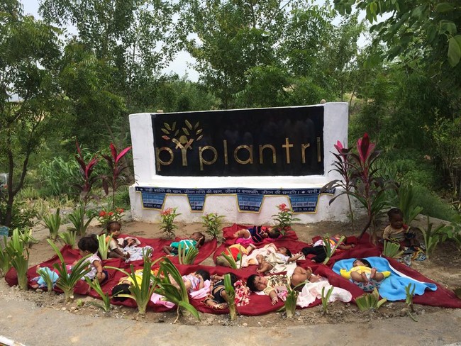 Pepohonan juga berfungsi membersihkan udara dan sebagai resapan air tanah yang bisa digunakan untuk keperluan rumah tangga termasuk memenuhi kebutuhan air minum. Foto: Facebook/Piplantri Community