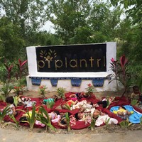 Pepohonan juga berfungsi membersihkan udara dan sebagai resapan air tanah yang bisa digunakan untuk keperluan rumah tangga termasuk memenuhi kebutuhan air minum. Foto: Facebook/Piplantri Community