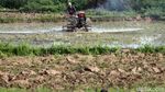 Geliat Petani Cikarang di Tengah Pandemi Corona
